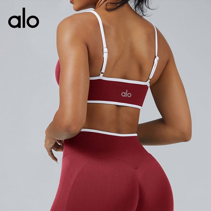 Alo Bra – High-Support Sports Bra - gift use photo 2