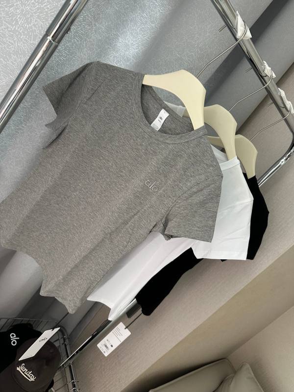 Alo t-shirt everyday gray